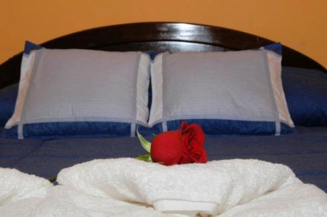 Hotel Hostal Vista Amazonas | Quito | Pichincha | Ecuador 3