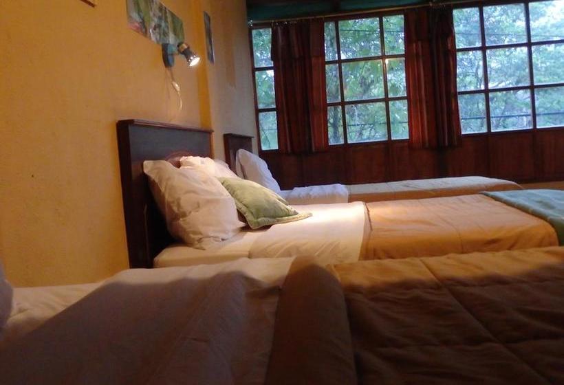 Bio Hostal Mindo Cloud Forest | Mindo | Pichincha | Ecuador 13
