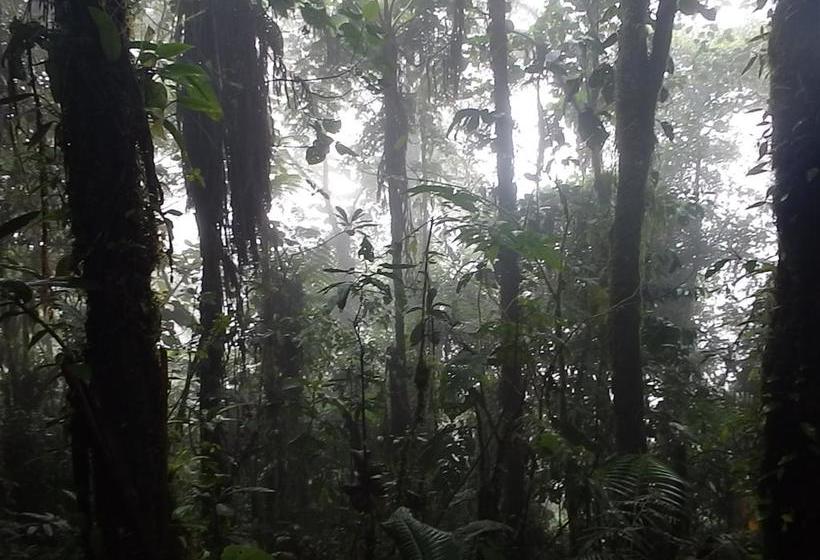 Bio Hostal Mindo Cloud Forest | Mindo | Pichincha | Ecuador 19