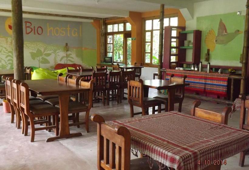 Bio Hostal Mindo Cloud Forest | Mindo | Pichincha | Ecuador 20
