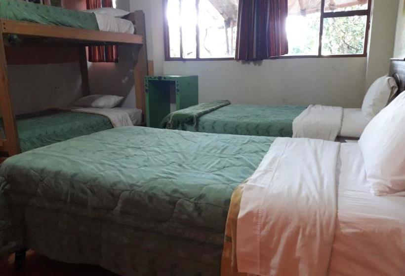 Bio Hostal Mindo Cloud Forest | Mindo | Pichincha | Ecuador 3