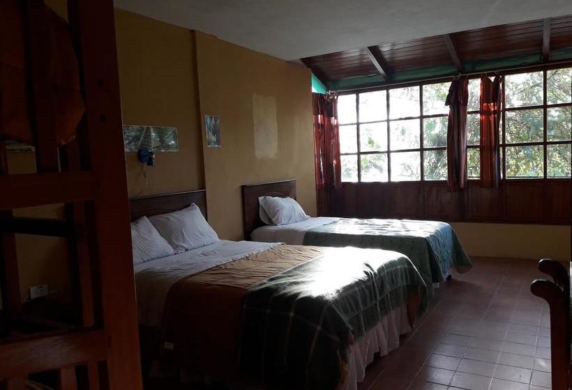 Bio Hostal Mindo Cloud Forest | Mindo | Pichincha | Ecuador 5