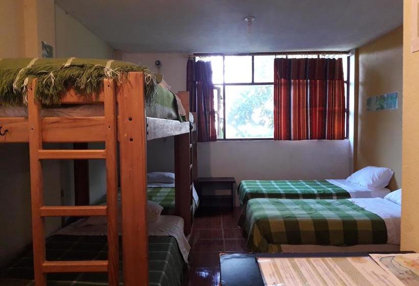 Bio Hostal Mindo Cloud Forest | Mindo | Pichincha | Ecuador 6