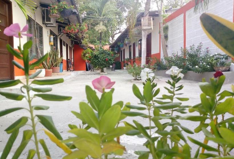 Hotel Mar de Plata Tolú | Santiago de Tolu | Sucre | Colombia 2