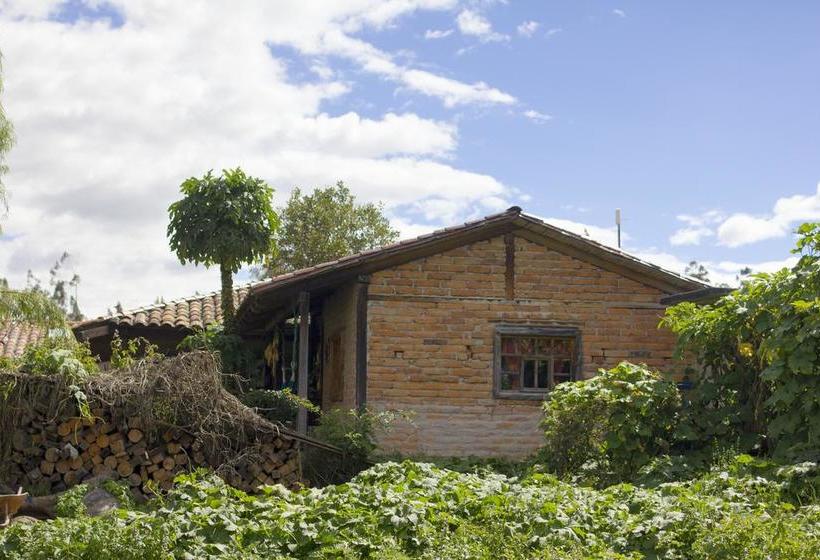 Ayllu Hostel | Cotacachi - Imbabura | Imbabura | Equador 10