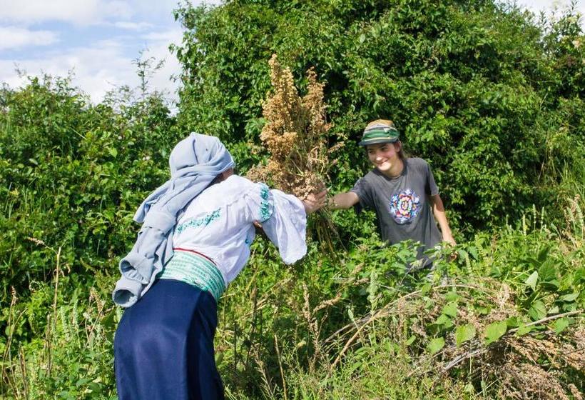 Ayllu Hostel | Cotacachi - Imbabura | Imbabura | Equador 12