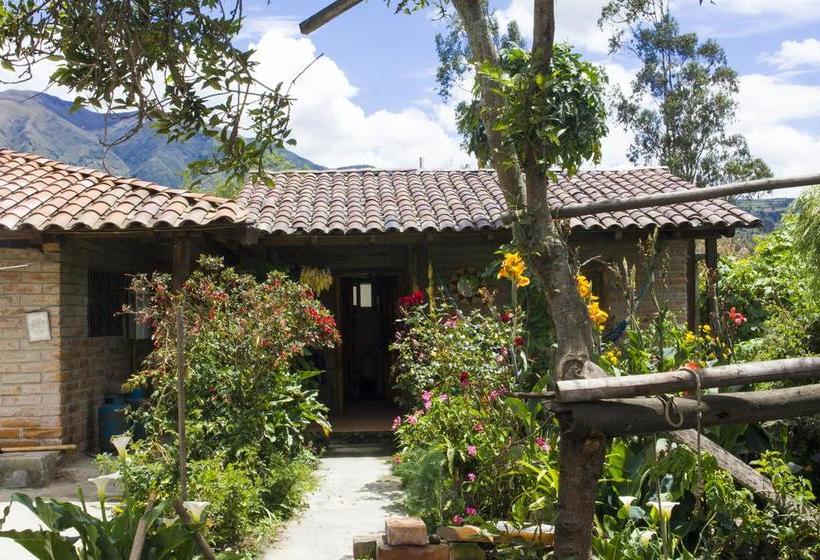 Ayllu Hostel | Cotacachi - Imbabura | Imbabura | Equador 3