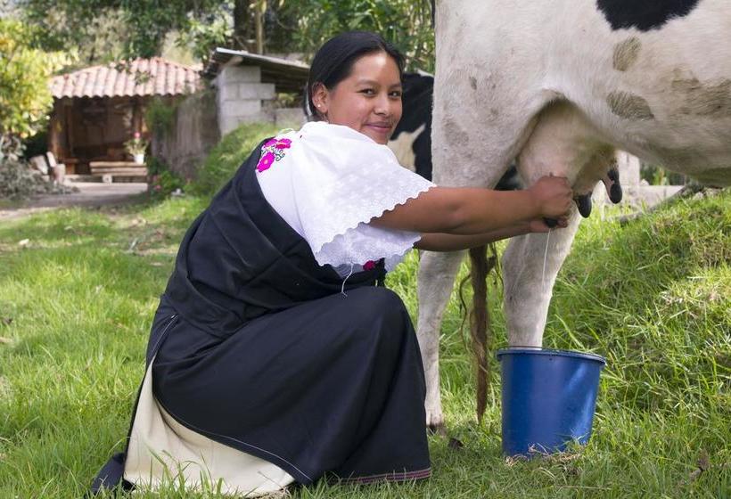 Ayllu Hostel | Cotacachi - Imbabura | Imbabura | Equador 5