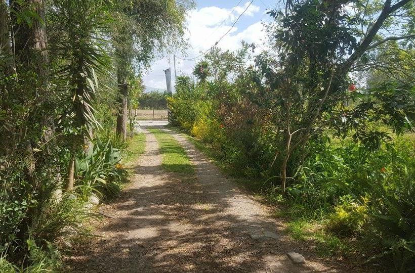 Hotel Quito Airport Tiny Suites | Tababela | Pichincha | Ecuador 17