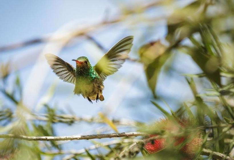 Hostal Hostería Country House Quinta Carlota | Tababela | Pichincha | Ecuador 3