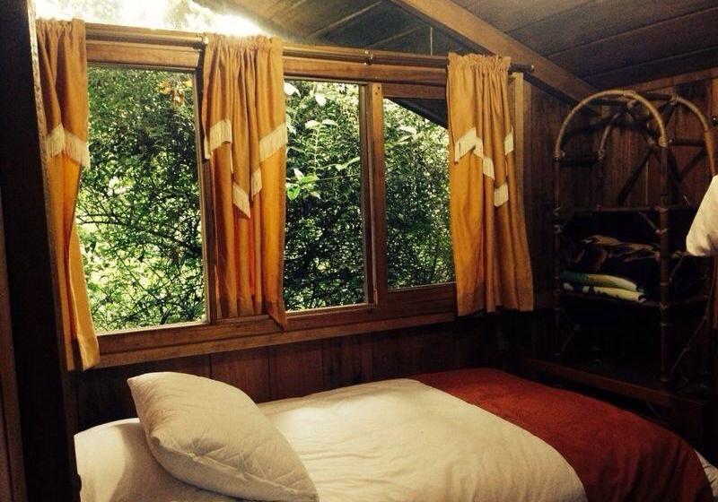 Hotel Hostería Arasari | Mindo | Pichincha | Ecuador 13