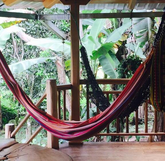 Albergue La Casa de Cecilia Mindo