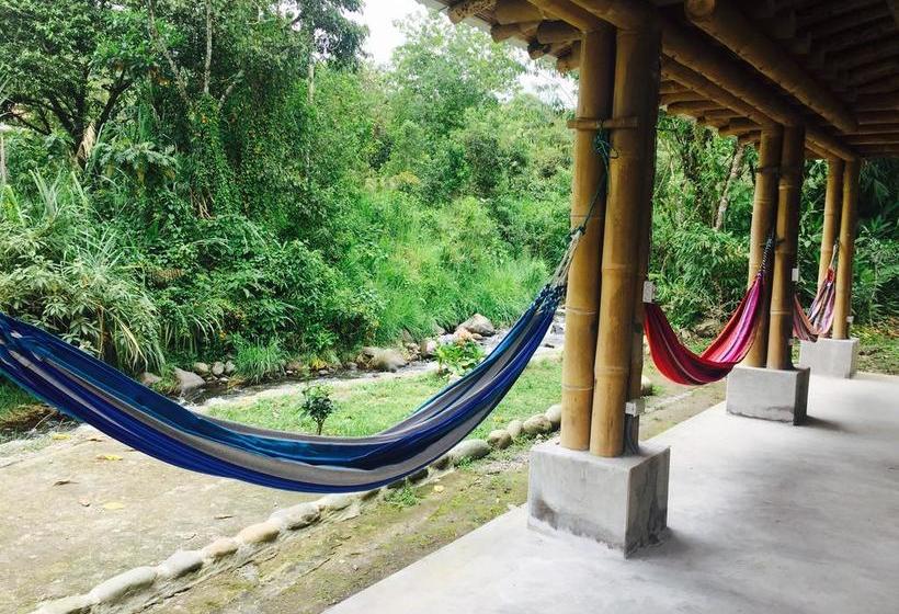 Albergue La Casa de Cecilia | Mindo | Pichincha | Ecuador 1