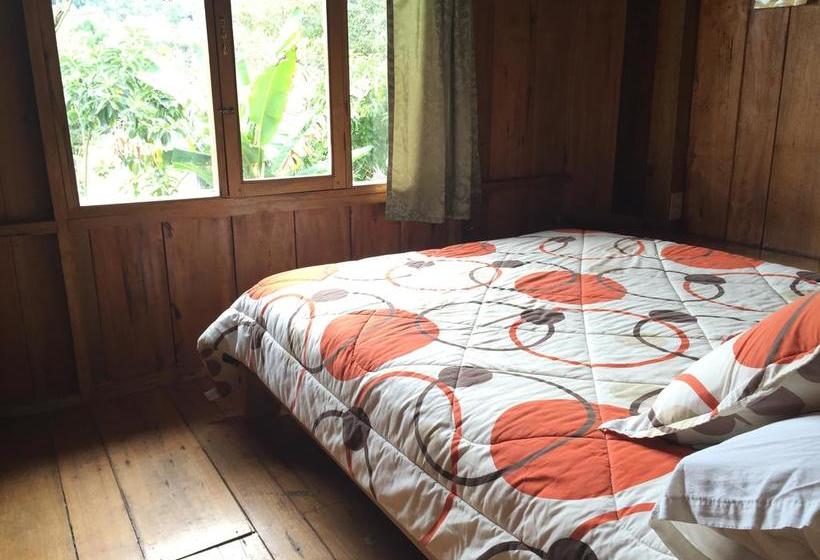 Albergue La Casa de Cecilia | Mindo | Pichincha | Ecuador 10