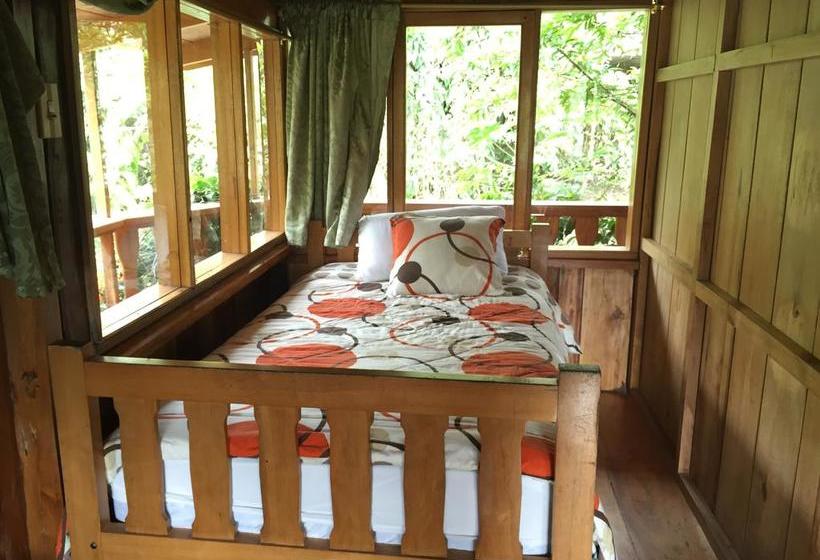 Albergue La Casa de Cecilia | Mindo | Pichincha | Ecuador 12