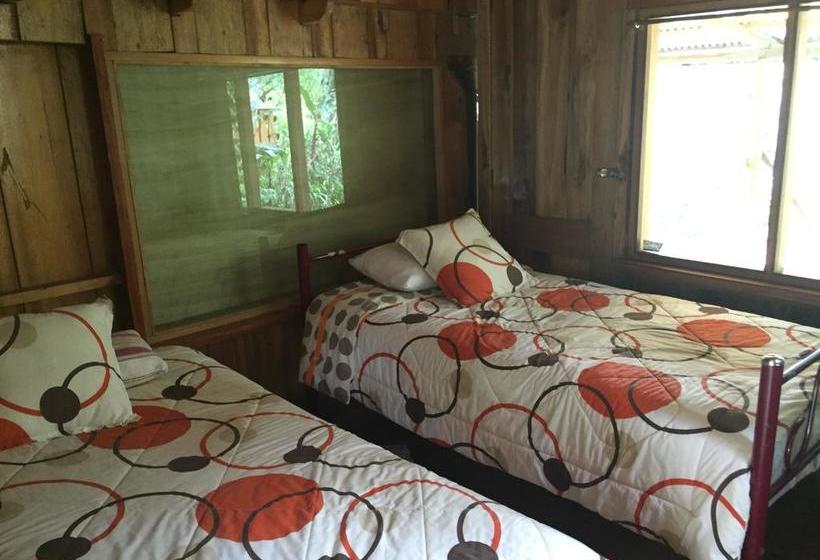 Albergue La Casa de Cecilia | Mindo | Pichincha | Ecuador 13