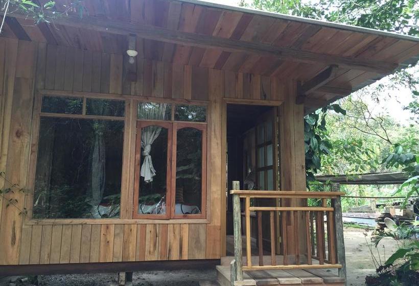 Albergue La Casa de Cecilia | Mindo | Pichincha | Ecuador 14