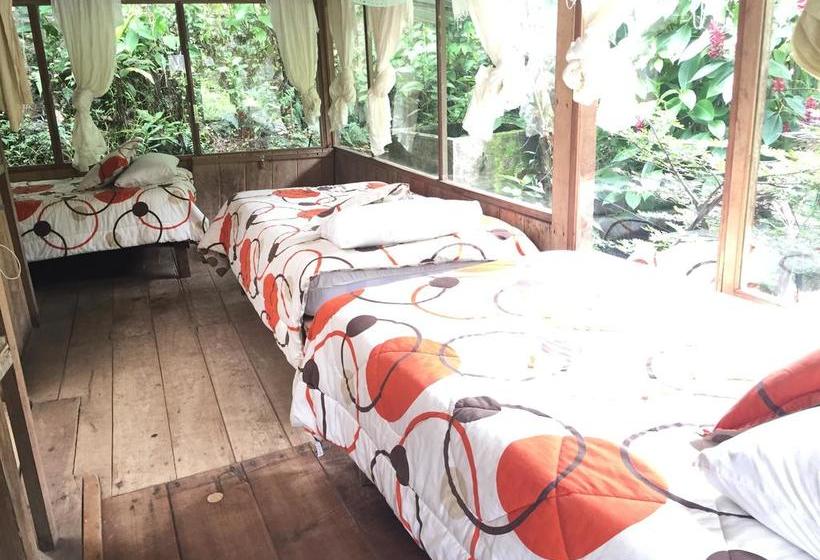 Albergue La Casa de Cecilia | Mindo | Pichincha | Ecuador 15