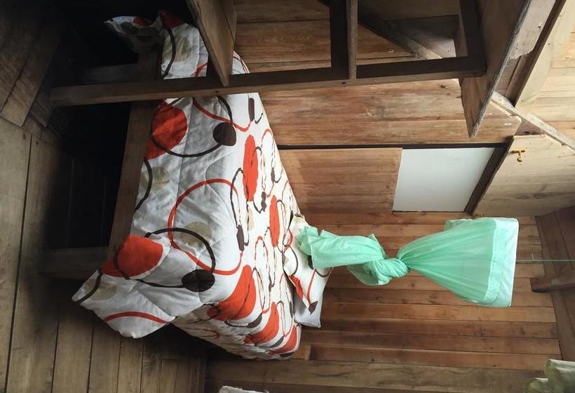 Albergue La Casa de Cecilia | Mindo | Pichincha | Ecuador 16