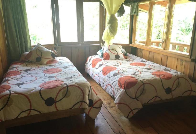 Albergue La Casa de Cecilia | Mindo | Pichincha | Ecuador 17