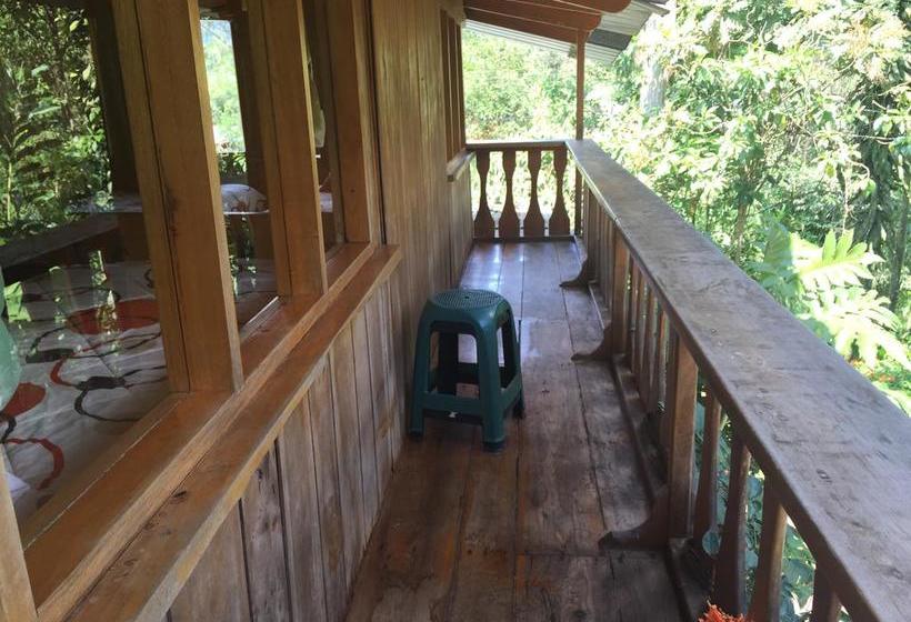 Albergue La Casa de Cecilia | Mindo | Pichincha | Ecuador 18
