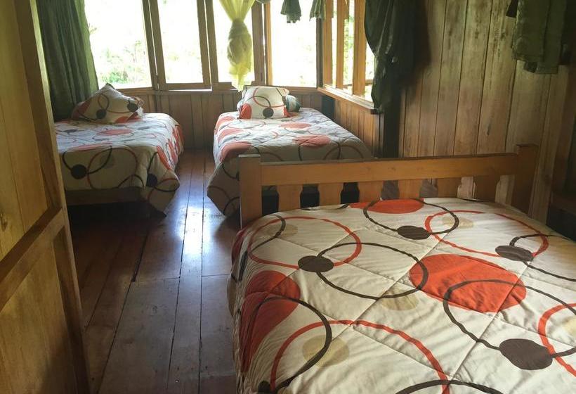 Albergue La Casa de Cecilia | Mindo | Pichincha | Ecuador 20