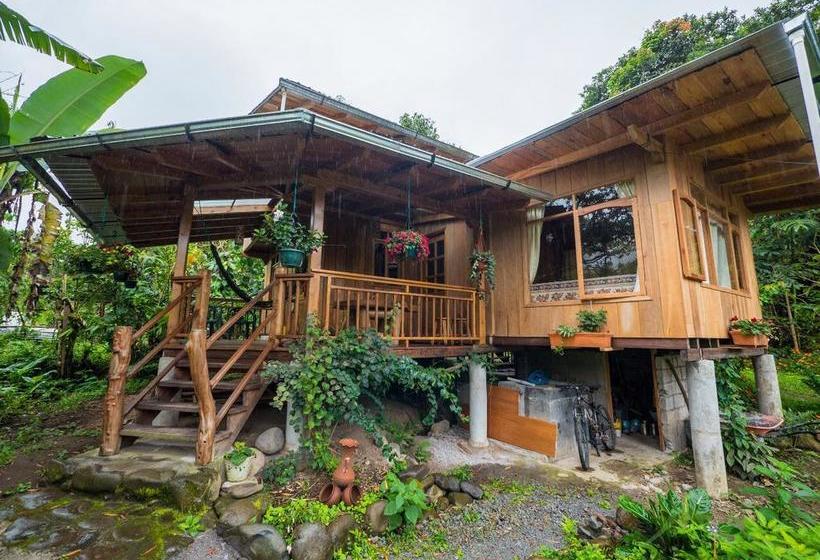 Albergue La Casa de Cecilia | Mindo | Pichincha | Ecuador 3