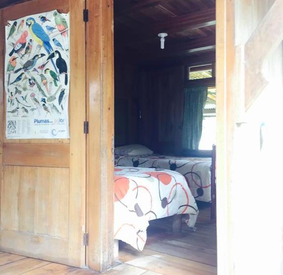 Albergue La Casa de Cecilia | Mindo | Pichincha | Ecuador 4