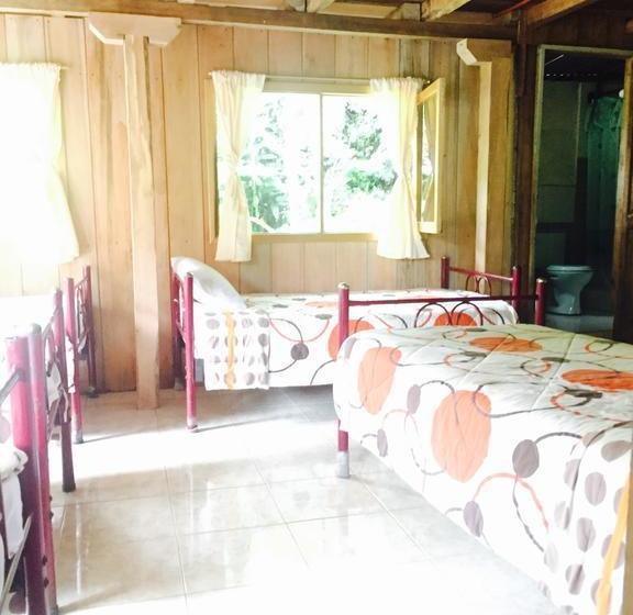 Albergue La Casa de Cecilia | Mindo | Pichincha | Ecuador 5