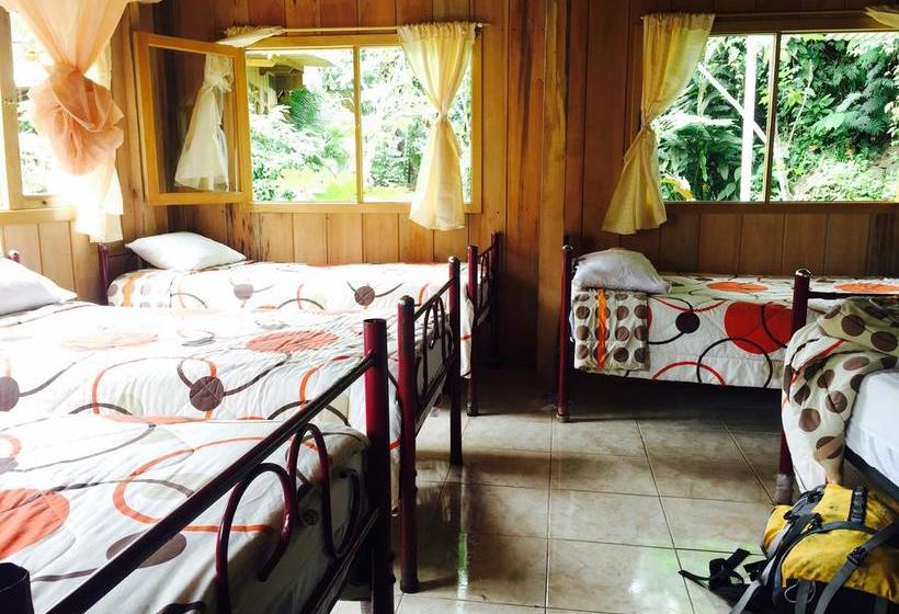 Albergue La Casa de Cecilia | Mindo | Pichincha | Ecuador 7