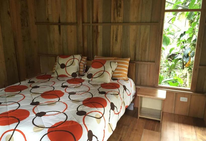 Albergue La Casa de Cecilia | Mindo | Pichincha | Ecuador 9