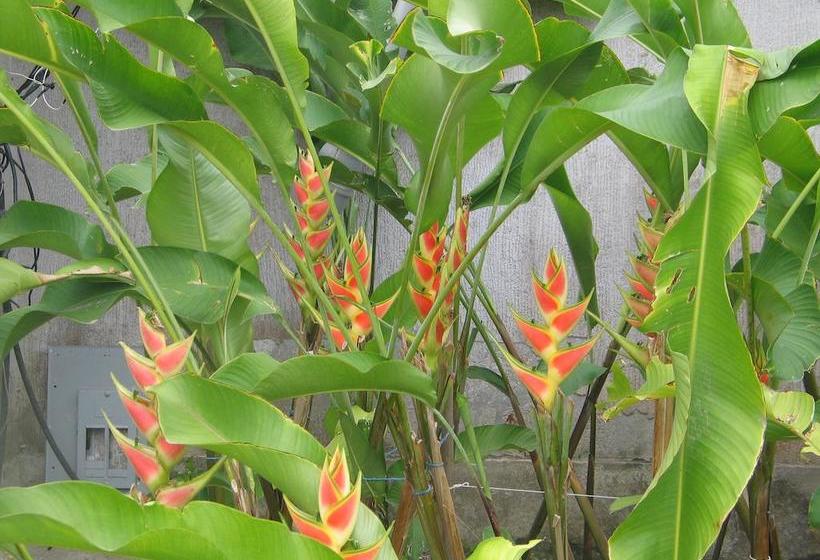 Hotel Hostería Puerto Gaviota | Tonsupa | Esmeraldas | Ecuador 16