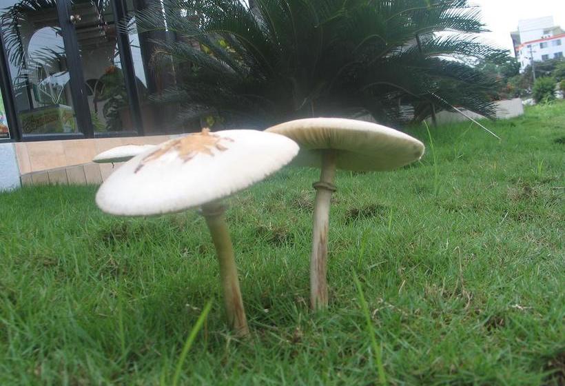 Hotel Hostería Puerto Gaviota | Tonsupa | Esmeraldas | Ecuador 17