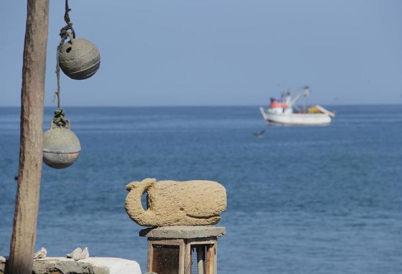 Hotel Punta Ballenas Inn | Máncora | Talara | Perú 11