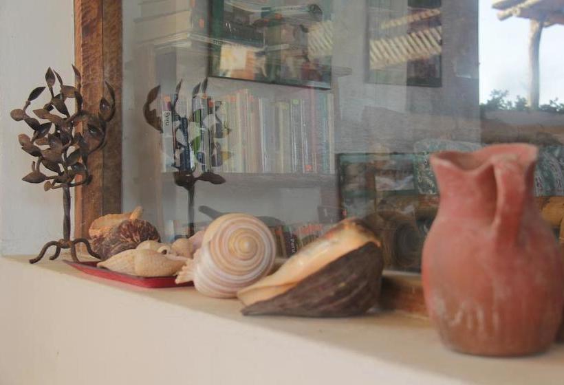 Hotel Punta Ballenas Inn | Máncora | Talara | Perú 12