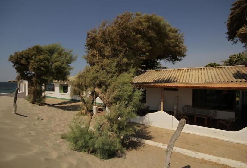Hotel Punta Ballenas Inn | Máncora | Talara | Perú 13