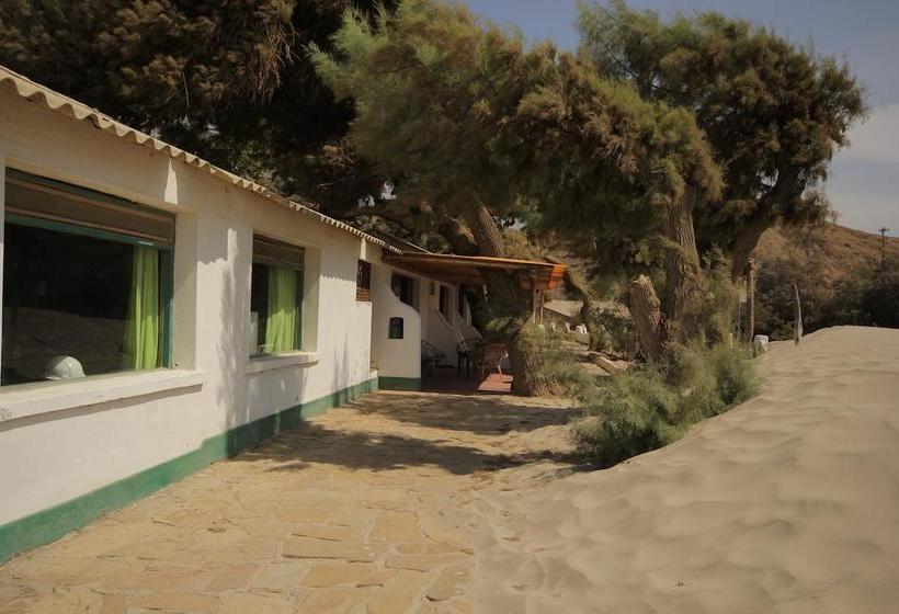 Hotel Punta Ballenas Inn | Máncora | Talara | Perú 14