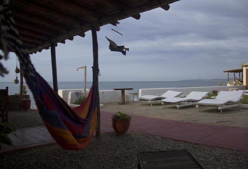 Hotel Punta Ballenas Inn | Máncora | Talara | Perú 15