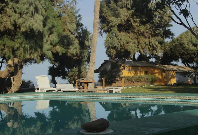 Hotel Punta Ballenas Inn | Máncora | Talara | Perú 7