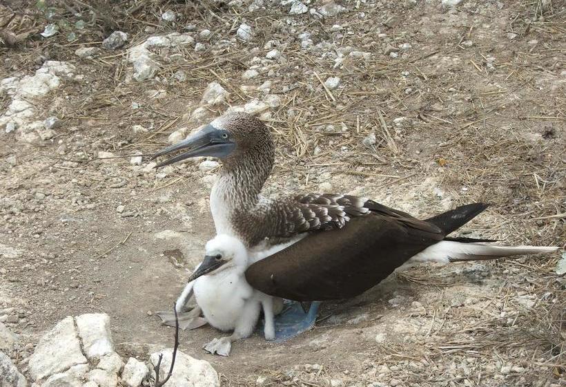 Hotel Mantaraya Lodge | Puerto López | Manabí | Ecuador 18