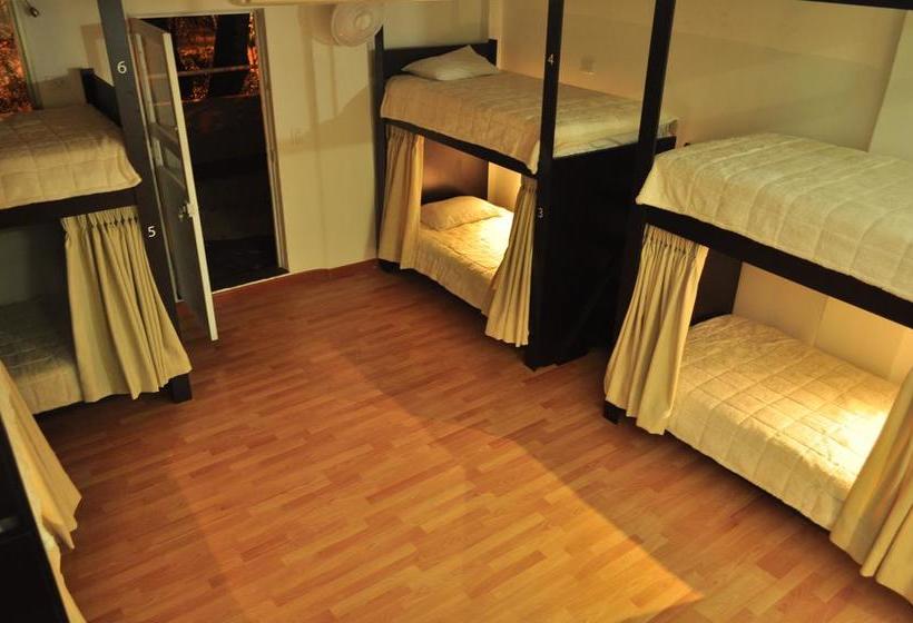 Hotel Hostal Lleras Calle 8 | Envigado | Antioquia | Colombia 10