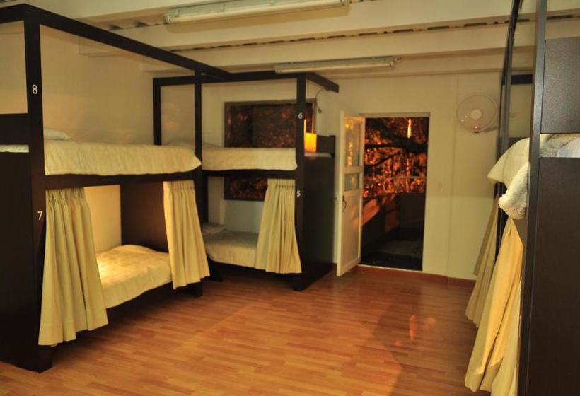 Hotel Hostal Lleras Calle 8 | Envigado | Antioquia | Colombia 6