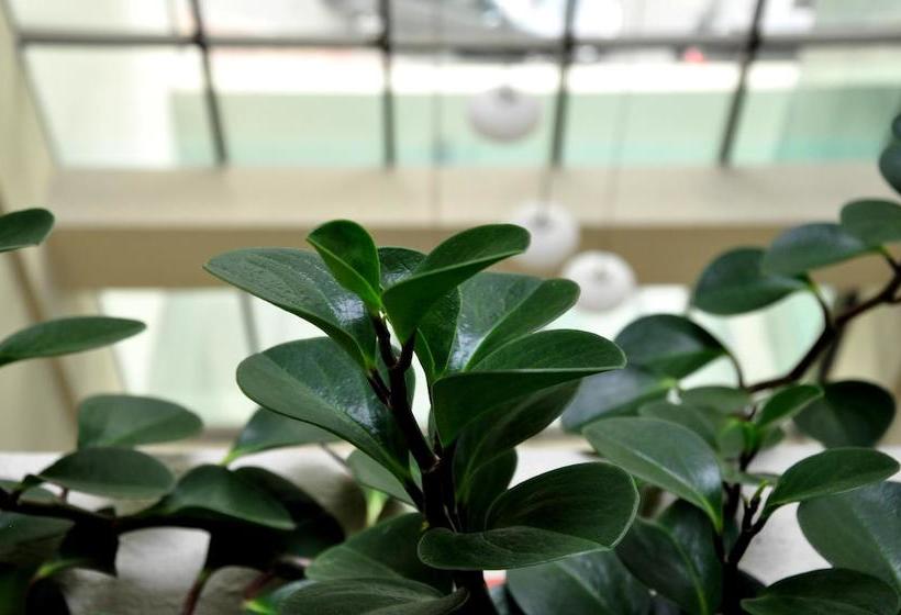 Hotel Quo Vadis | Loja | Loja | Ecuador 5