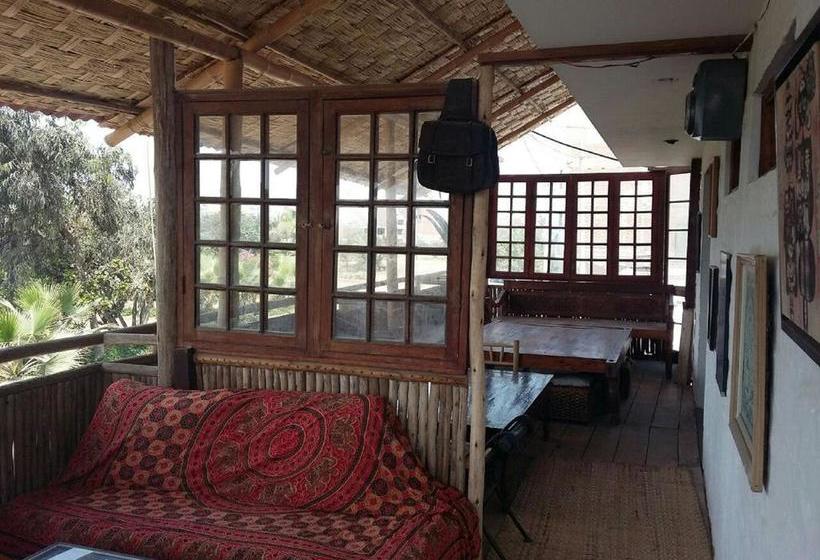 Albergue Tio Richi Surf Camp | Punta Hermosa | Huarochirí | Perú 19