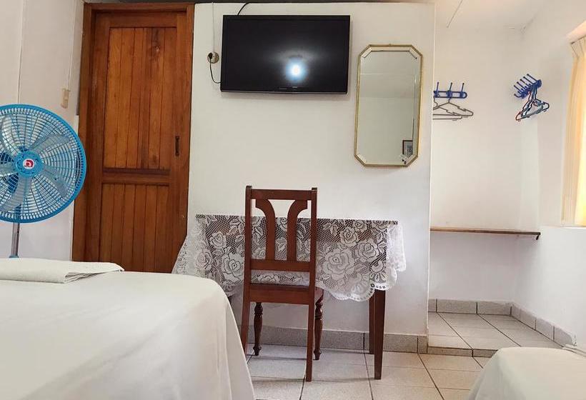 Hotel Alojamiento El Mirador | Tarapoto | San Martín | Perú 6