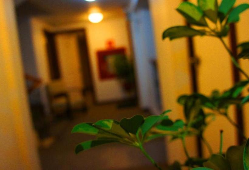 Hotel Cordelius Turistico | Puno | Puno | Perú 16