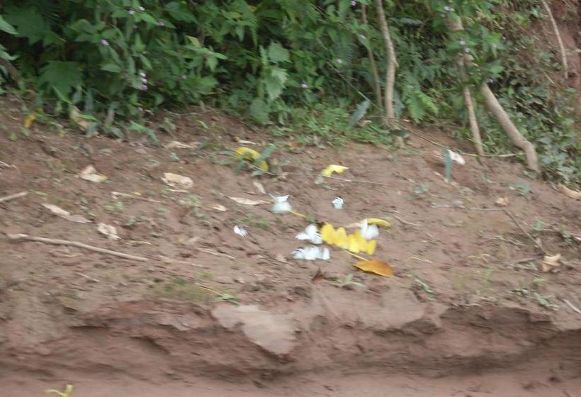 Hotel Sotupa Eco House Tambopata