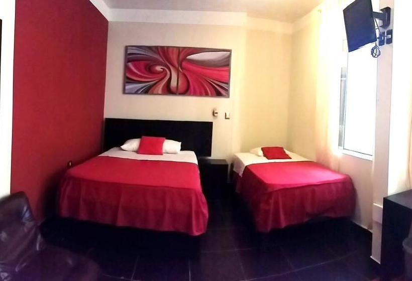 Hotel Pirwa Maldonado Hostel | Puerto Maldonado | Tambopata | Perú 18