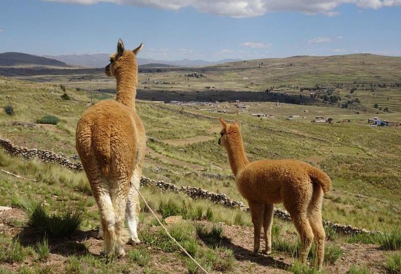 Hotel Mirador del Titikaka | Puno | Puno | Perú 8