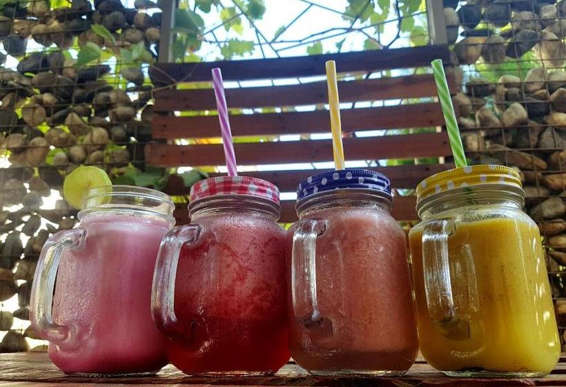 Hotel Gairaca Real | Santa Marta | Magdalena | Colombia 11